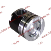 Поршневая группа WD12/WD618 (6 гильз, 6 поршней (..0017), 6 пальцев, комплект колец) SH SHAANXI / Shacman (ШАНКСИ / Шакман) 61800010125 фото 10 Рязань